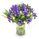 Kytice  jarních květů